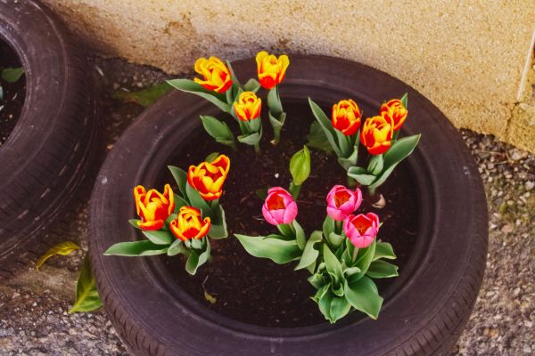 Métamorphosez vos déchets en or : le guide incontournable pour créer des jardins écologiques avec des matériaux recyclés.